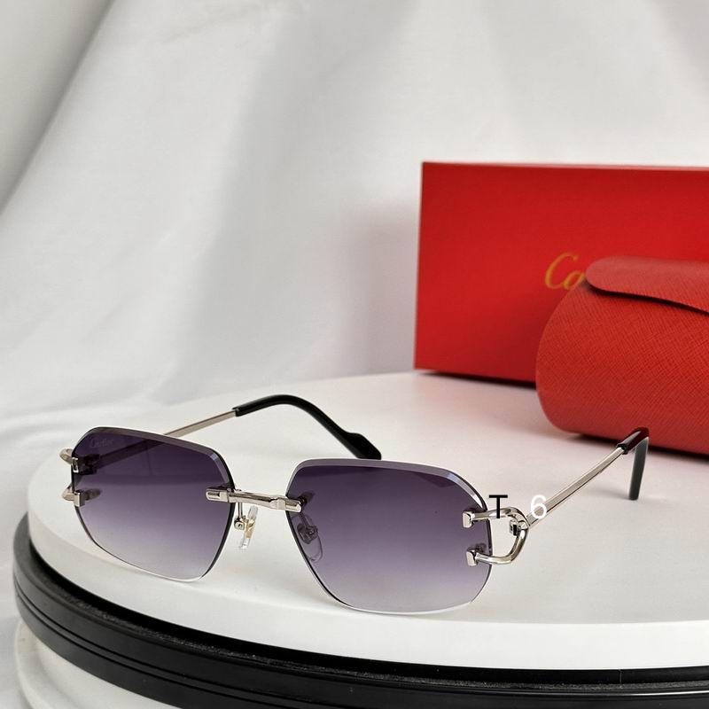 Cartier Sunglasses 504